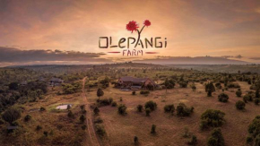 Отель Olepangi Farm  Нанюки